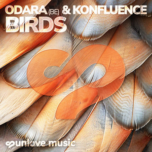 Artwork — Birds